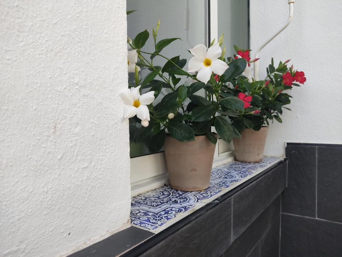 Apartamento 700 Metros De La Playa Playa Flamenca Zewnętrze zdjęcie